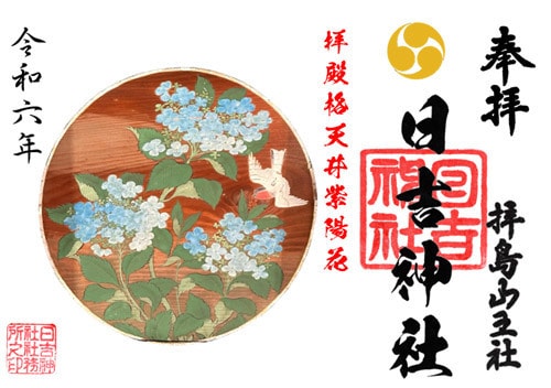 拝殿格天井絵紫陽花