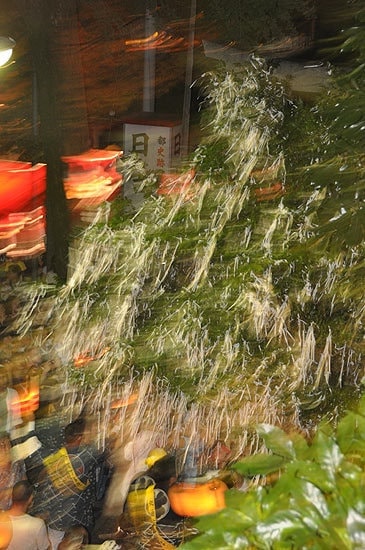 コンテスト入選写真