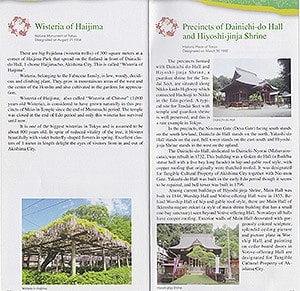 pamphlet01